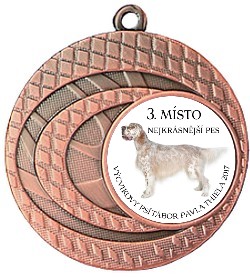 md 101 C/B