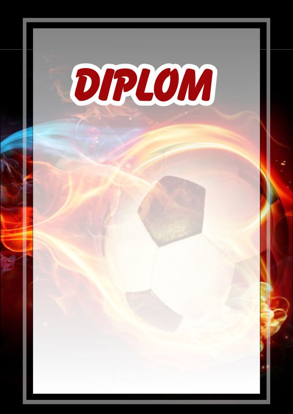 diplom 89