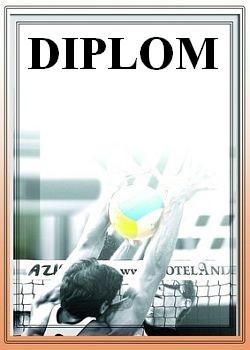 diplom 81