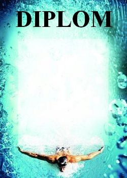diplom 83