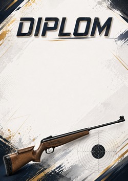 diplom 84