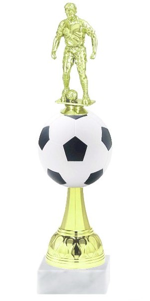 fotbal fg 20 C