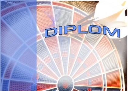 diplom 113