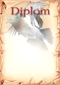 diplom 45