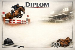 diplom 141