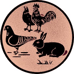 emblém K 126++