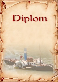 diplom 130