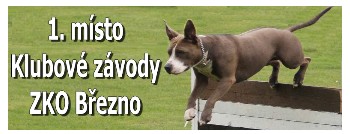 folie + barevný obrázek sportu