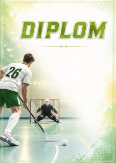 diplom 90