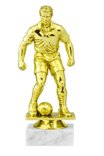 fotbal f 24 g