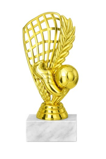 fotbal f 429