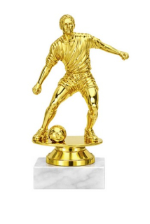 fotbal f 428 g